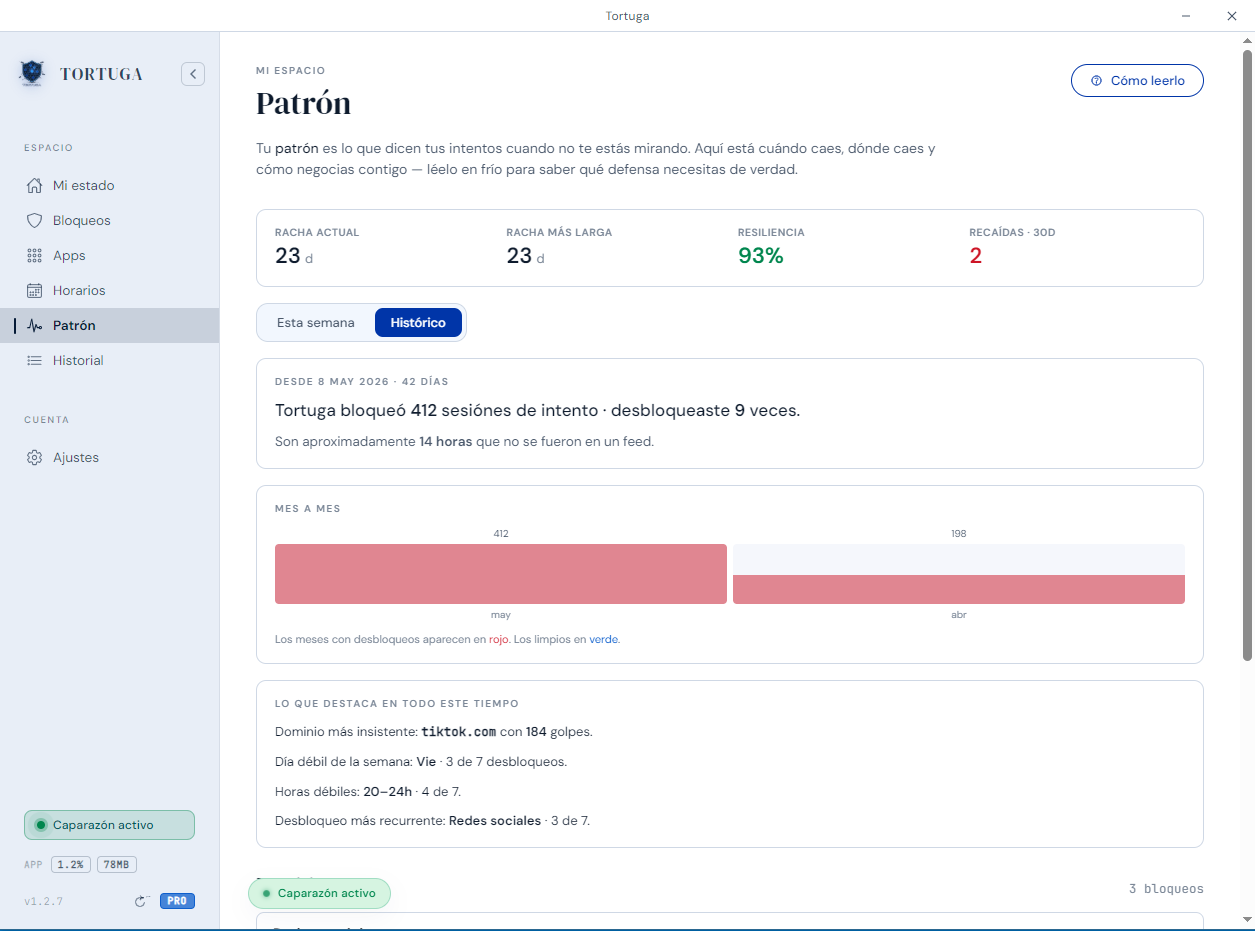 Pantalla de Patrón de Tortuga: racha, resiliencia y días débiles.